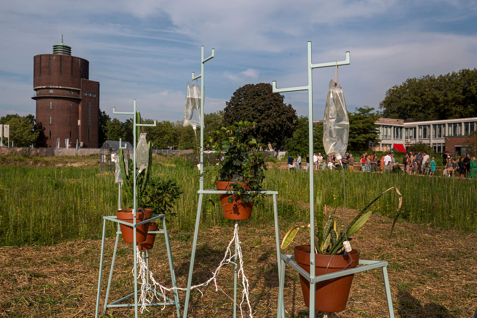 04-JUICE-juicy-roddels-uit-het-plantenrijk